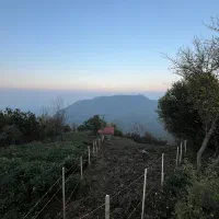 زمین داخل بافت مسکونی