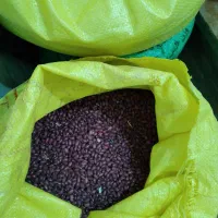 لوبیا چیتی درجه۱|خوردنی و آشامیدنی|تهران, شهرک طالقانی|دیوار