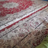 فرش مشهدکارکرده ،اکرلیک زمینه لاکی۱۰رنگ ، ۶و۱۲متری|فرش|تهران, شهرک شریعتی|دیوار