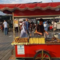 نیروی خانم،آقا زن وشوهرجهت ترکیه