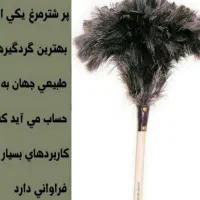 کهره بره گوسفندبزه گاوگوساله بلدرچین|حیوانات مزرعه|یاسوج, |دیوار