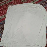 پشه بند سالم