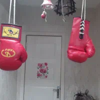 دستکش بوکس وارداتی از تایلند|تجهیزات ورزشی|پرند, فاز ۵|دیوار