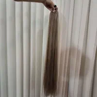 حراج موی دم اسبی قد ۸۰