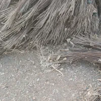 مفتول یک ونیم متری کشاورزی|عمدهفروشی|خضر آباد, |دیوار