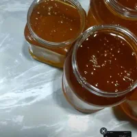 عسل از کوهستان ساکاروز زیر 3درصد|خوردنی و آشامیدنی|مشهد, هدایت|دیوار