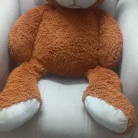 خرس|اسباب‌بازی بچه|قم, زنبیل آباد|دیوار