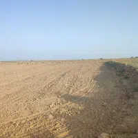 زمین کشاورزی درجه یک|فروش دفتر صنعتی، کشاورزی، تجاری|سوسنگرد, |دیوار