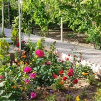 اجاره ویلای لب آب در باغبادران|اجارهٔ کوتاه‌مدت ویلا و باغ|اصفهان, خواجو|دیوار