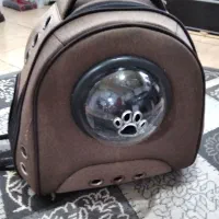 کوله نگهداری حیوانات