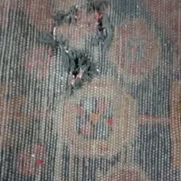 فرش دستبافت|فرش|تهران, کاشانک|دیوار