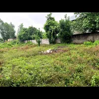 زمین ۳۹۰متری مسکونی با جواز ساخت و سند تکبرگ شمال|فروش زمین و ملک کلنگی|تهران, دانشگاه شریف|دیوار