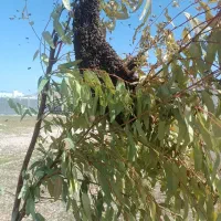 تانکر ۲۰۰۰لیتری