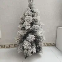 درختچه برفی در حد نو