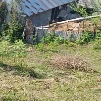 4617متر 500متر مسکونی