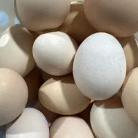 تخم مرغ بدون بو