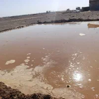 خدمات بیل مکانیکی و بیل لودری و ابرسانی|خدمات حمل و نقل|گناباد, |دیوار