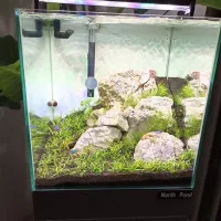 آکواریوم  پلنت  فروش فوری زیر قیمت