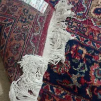 فرش|فرش|تهران, شوش (باغ آذری)|دیوار