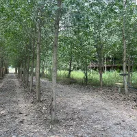 فروش خونه بافول امکانات|فروش خانه و ویلا|گرمدره, |دیوار