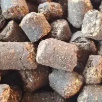 کنجاله کلزا و تخم کتان