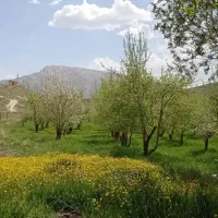 فروش باغ ثمری تفریحی|فروش زمین و ملک کلنگی|اصفهان, شاهزاده ابراهیم|دیوار