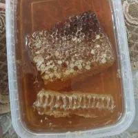 عسل طبیعی کردستان
