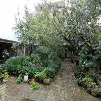 ویلای ۳۶۰متری دوکله/مناسب زندگی یا کاربری کافه|اجارهٔ خانه و ویلا|رشت, انصاری|دیوار