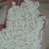 برنج طارم محلی|خوردنی و آشامیدنی|قم, تعویض پلاک|دیوار