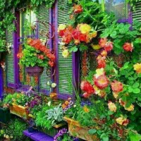 شاگرد مغازه برای کار در فروشگاه