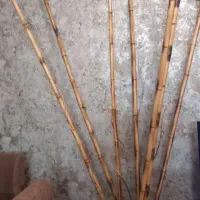 نی بامبو شیک همراه با گلدان