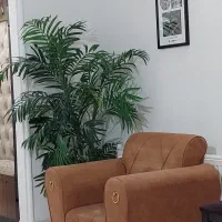 منشی خانم(۴ ساعت در روز) حوالی مولوی آزادگان