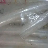 لوازم کافی شاپ|ظروف نگهدارنده، پلاستیکی، یک‌بارمصرف|نیشابور, هفده شهریور|دیوار