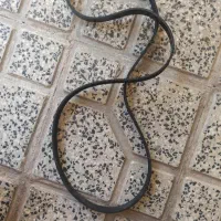 تسمه دینام 206تیپ 2