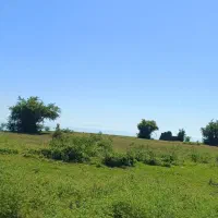 فروش-زمین-بر-یک-دریا