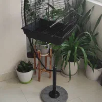 قفس پرنده بهمراه وسایل جانبی|لوازم جانبی حیوانات|بوشهر, |دیوار