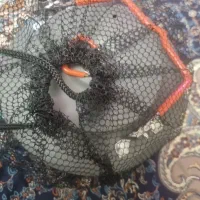 کتری سفری اسنوهاک مدل SN-CA