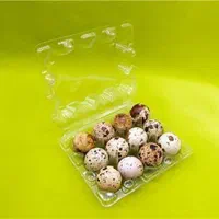 بهداشتی پک بسته بندی تخم بلدرچین|ظروف نگهدارنده، پلاستیکی، یکبارمصرف|زنجان, |دیوار