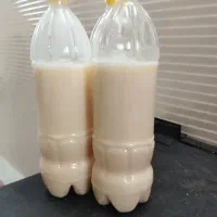 ظرف روغن|ظروف نگهدارنده، پلاستیکی، یک‌بارمصرف|مشهد, کوشش|دیوار