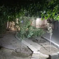 سرایدار مرغداری کوچک