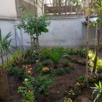 باغبان،باغبانی حرفه ای|خدمات باغبانی و درختکاری|قم, زنبیل آباد|دیوار