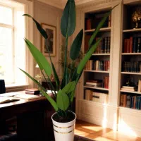 درختچه مصنوعی وارداتی|گل مصنوعی|آفتاب, |دیوار