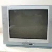تلویزیون