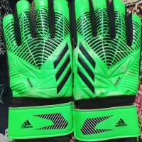 دسکش دروازه‌بانی