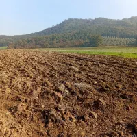 زمین کشاورزی با آب کنار جنگل