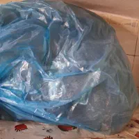 جک بادی