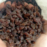 کشمش درجه یک آفتابی