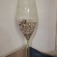 تنگ ماهی