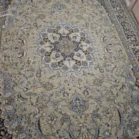 فرش|فرش|رشت, کوی امام رضا|دیوار