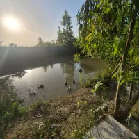 سرایداری خانوم